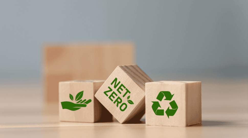 Net Zero Strategy